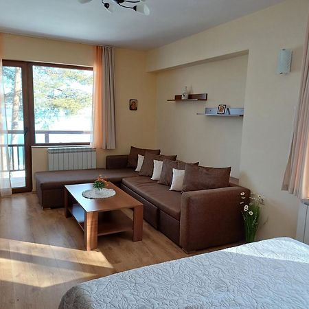 Villa Santa Maria Tsigov Chark Εξωτερικό φωτογραφία